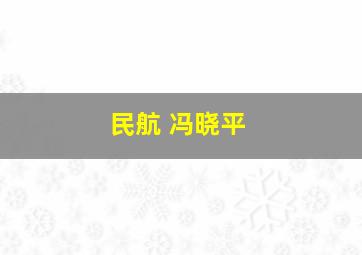 民航 冯晓平